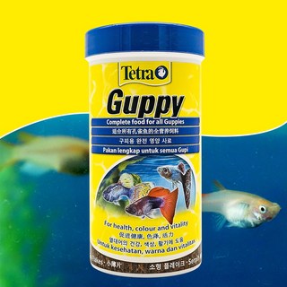 테트라 구피푸드 250ml 모든 열대어 관상어 사료 먹이 밥 구피 베타 독일정품 빠른배송, 1개
