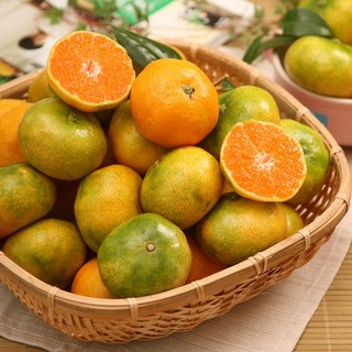 제주 서귀포 하우스 감귤 고당도 프리미엄 제주감귤, 1개, 10kg 로얄과(2S~M)