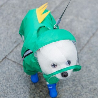 공룡 강아지 우의 초록, 1개