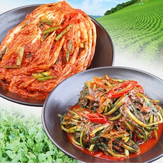 [밥도둑들] 국산포기김치2k+열무김치2k 맛없으면 무료반품, 2kg × 2개