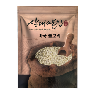 삼대쌀집 수입 늘보리 햇보 널보리 꽁보리 옛날보리, 1개, 2kg