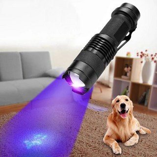 휴대용 LED UV 손전등 395nm 블랙라이트 자외선 감지 줌 가능 토치 애완 동물 소변 얼룩 손톱 개선 감지 램프, 2) zoomable 395nm, 1개