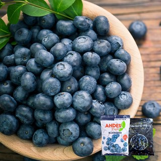 당도 높은 무첨가 100% 냉동블루베리 1KG, 1kg(칠레), 3개