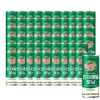 코카콜라 캐나다드라이 진저에일, 60개, 250ml