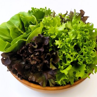 프리미엄 유러피안 샐러드 채소 1kg내외 (3-6종랜덤), 1박스, 1kg