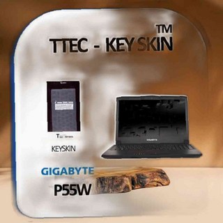 GIGABYTE P55W 노트북