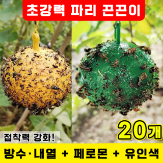 [빠른 배송] 파리 끈끈이 트랩 초강력 초파리 트랩 날파리 찍찍이 초파리없애는법 뿌리파리 강력접착 날파리퇴치기 노란색과 초록색 반반, 20개, 25g