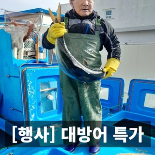 청담농수산 8kg 이상 동해안 자연산 대방어 필렛, 1개, 500g (삼둥이 초장1개)