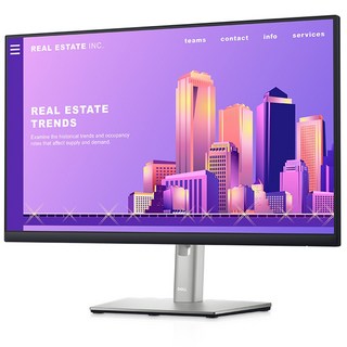 델 DELL P2424HT 24인치 주요 특징