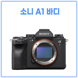 소니 A1 카메라