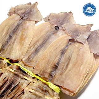 동해안 건조 마른오징어 건오징어 건조오징어 (10마리) 400g/원양산오징어, 1개, 400g (10마리)