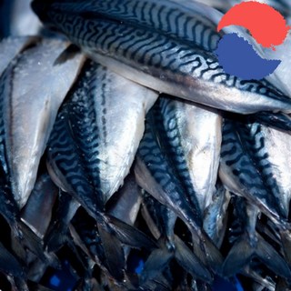 국산 순살 손질 반건조 자반 간 고등어 1세트 2마리 600g 1kg 특대, 1세트 5팩(팩당 100-120g)