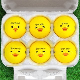 볼빅 컬러골프공 선물세트