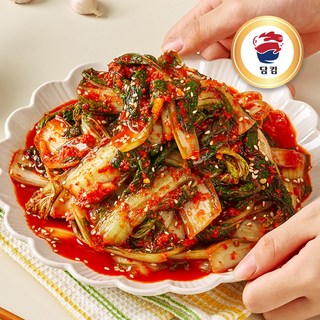 담킴 국산 전라도 얼갈이김치, 1개, 5kg