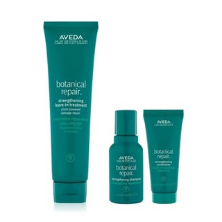 아베다 보태니컬 리페어 스트렝쓰닝 샴푸