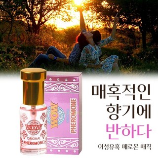 대만족 승무원 향수