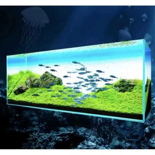 어항 LED 백스크린 배경 조명 백라이트 블루투스 수조, 60x30RGB 풀 컬러+앱 제어, 1개