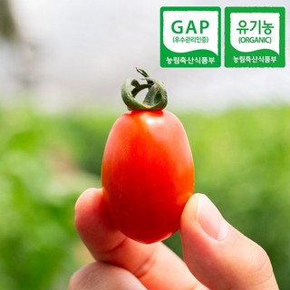 (리뷰이벤트)유기농 친환경 로얄과 대추 방울토마토, 1박스, 1kg