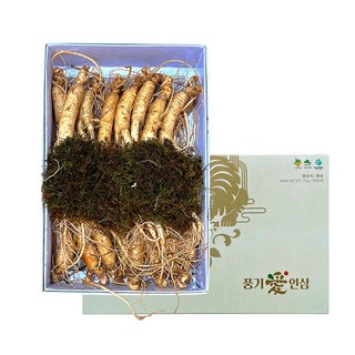 풍기인삼제조창 6년근 풍기인삼 500g (15-20편) 1개 경동시장인삼 풍기인삼제조창 6년근 풍기인삼 500g (15-20편) 1개 경동시장인삼