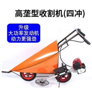 4. 옥수수 작물 수..