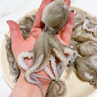 국산 급냉 주꾸미 쭈꾸미 알배기(랜덤) 샤브샤브, 1박스, 주꾸미 1kg