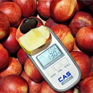 맑은마켓 13Brix 천상의맛 천도복숭아, 1박스, 2kg 극상품