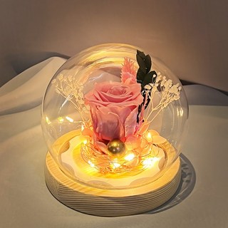 장미 꽃 LED 무드등 로즈데이 인테리어 조명 선물, 장미 꽃 LED 무드등 블루