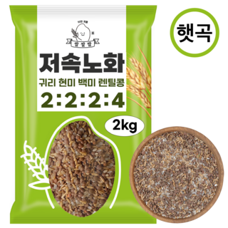 [쌀쌀쌀] 저속노화 렌틸콩 귀리 혼합 잡곡 밥 100% 햇곡, 1개, 2kg