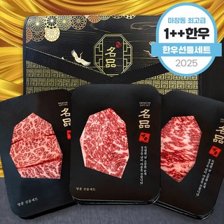 마장동직송 최고급 한우 1++ 투쁠 모듬세트, 600g, 1개