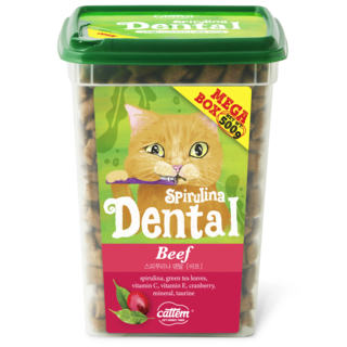 캣템 고양이 스피루리나 덴탈 이빨과자 대용량
