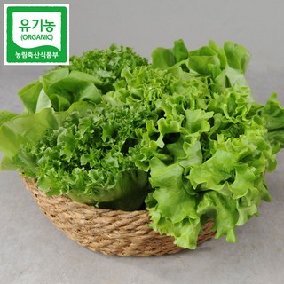 [유기농인증]유러피안 샐러드 채소 1kg (3~4종 랜덤발송), 1개