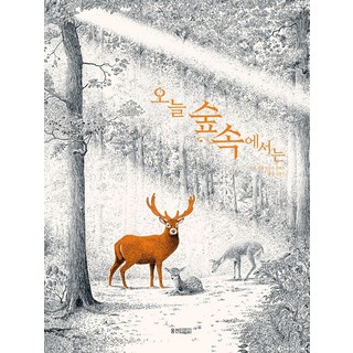 오늘 숲속에서는, 웅진주니어, 필리프 잘베르(저) / 김윤진(역)