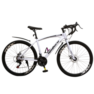 Montheria 로드자전거 700C 자전거 [국내발송] 로드바이크 C395-02, 1개, 169cm, 스타일 A