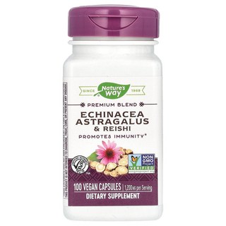 Natures Way 네이쳐스웨이 골든씰 에키네시아 아스트라거스 Reishi 1200mg 100캡슐 400mg, Natures Way 네이쳐스웨이 골든씰 아스트라거스, 1개, 100정