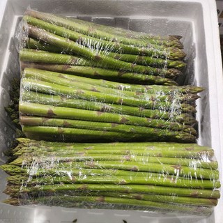 국내산 아스파라거스 1kg 백산상회, 1박스, 1kg굵은것