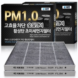 대한카필터 PM1.0 활성탄 에어컨필터, KC112, 2개