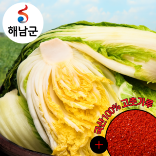 해남 황가네 절임배추 20kg 김장 도착일 (+필수추가사항에 기입) 신안소금 산지직송, 필수추가사항에 희망도착일 입력해주세요, 1박스