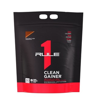 2. R1 룰원 클린..