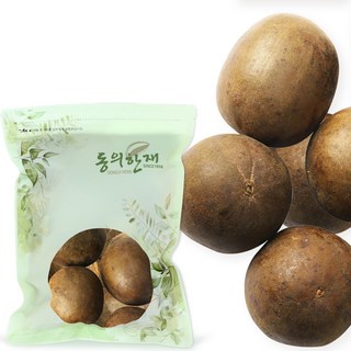 동의한재 특대 나한가 나한과 열매