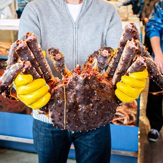 프리미엄 활 자숙 레드 블루 브라운 킹크랩 1마리 1.5kg 2kg 3kg 4kg 수율80% 보장, 2.5kg, 1개, 레드블루 킹크랩