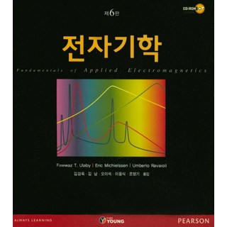 전자기학, YOUNG