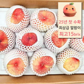 15brix 초달달 말랑이 백도 복숭아, 1개, 2kg(대과)