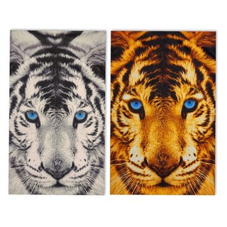 NC뉴코아울산성남 비너스 남자 스판 드로즈 매력적인 섹시 팬티 강열한기운 섹시한느낌 호랑이팬티 95 100 105 110 (각각구매) VMP7059T DG GY