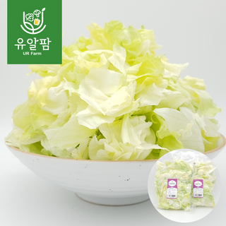 의령농산 유알팜 당일채소 당일제조 당일발송 양상추 컷 샐러드 1kg, 1개