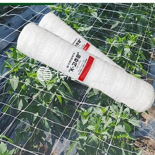K 케이 고추망 1000M (폭 선택: 60cm/75cm/90cm/105cm/120cm) 텃밭용 그물 – 유인 가든 네트, 고추, 오이, 호박, 가지 등 넝쿨 및 꽃 보호 망, 60cm x 1000M, 1개 태양초고추말리기 K 케이 고추망 1000M (폭 선택: 60cm/75cm/90cm/105cm/120cm) 텃밭용 그물 – 유인 가든 네트, 고추, 오이, 호박, 가지 등 넝쿨 및 꽃 보호 망, 60cm x 1000M, 1개 태양초고추말리기