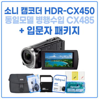 소니 HDR-CX450