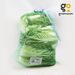 배추 3-4포기 망배추 통배추 알배기, 8kg, 1개