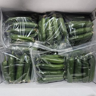 국내산 수분가득 간편 꼬마 미니오이 아삭 간편 스낵오이 [원산지:국산], 미니오이 1kg, 1개