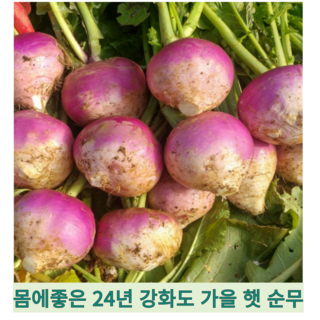 강화도 산지직송 순무김치