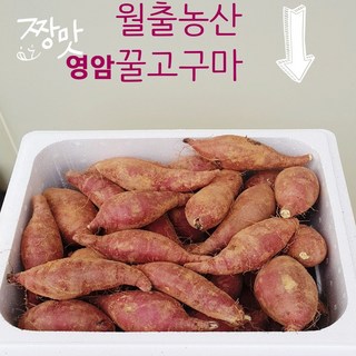 영암꿀고구마 10kg 농장직거래 아이스박스 발송 꿀고구마 10kg 월출농산 영암 꿀고구마 10kg 고구마 10kg, 4.꿀고구마 왕왕보다큰거(진짜 왕왕사이즈)